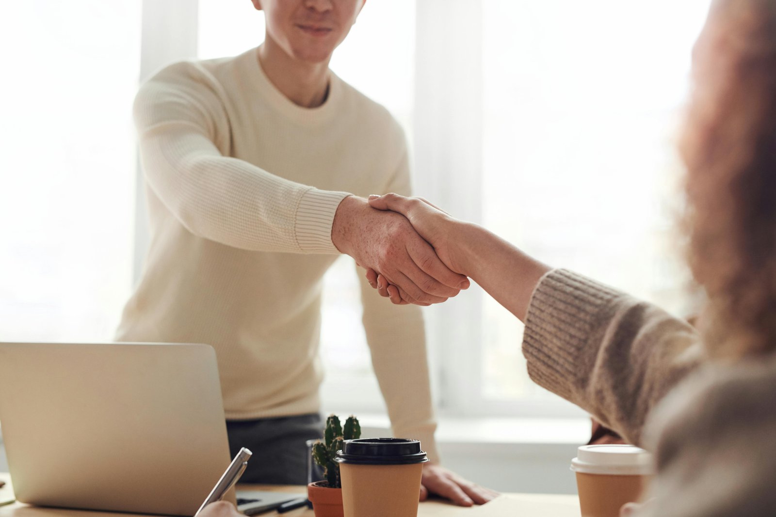 Professional Handshake